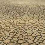 COP29 à Bakou : quand l’Azerbaïdjan veut passer du pétrole au vert Crise climatique