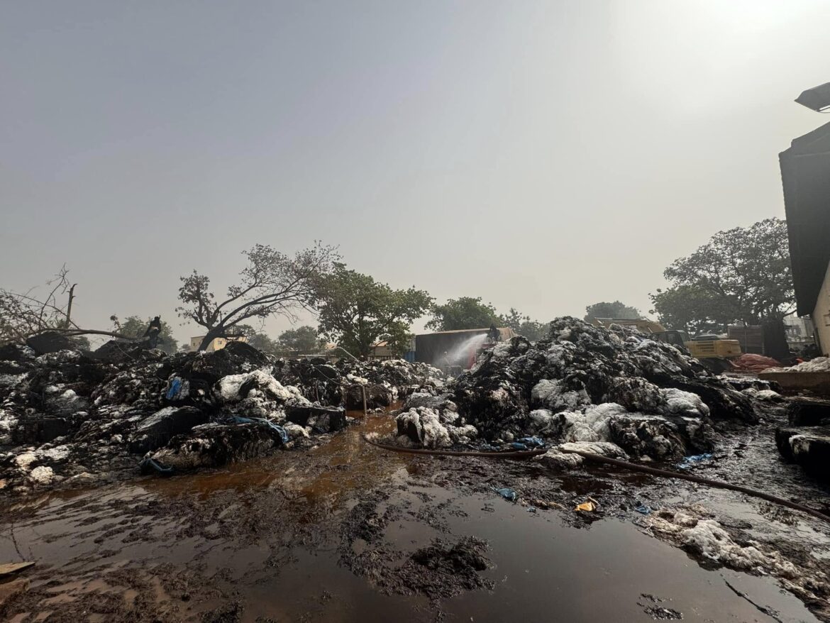 Balle de coton Balles de coton brulées