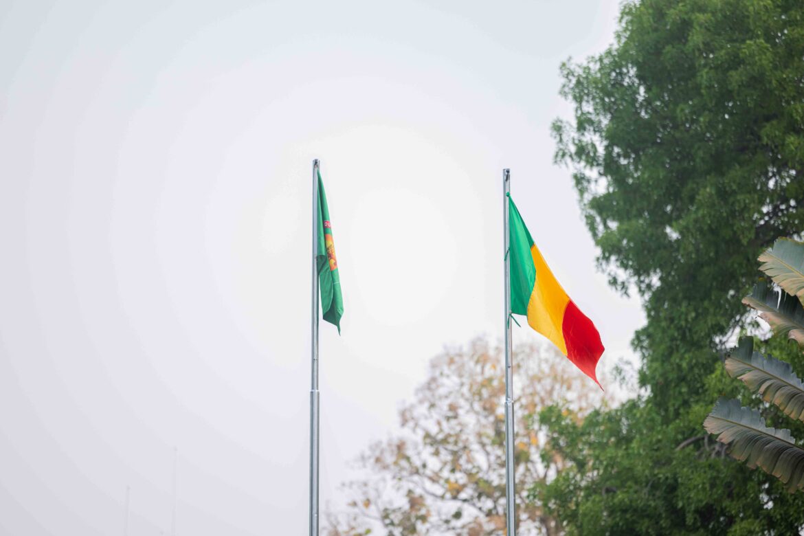 Drapeau AES Drapeau AES