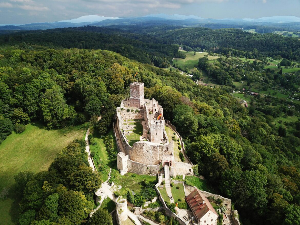 Grande muraille verte Grande muraille verte