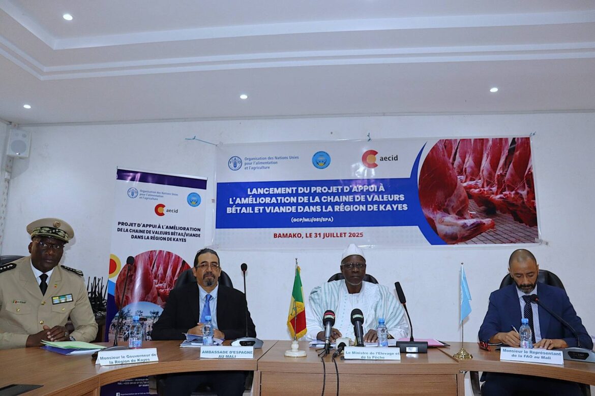 Lancement du projet Développement de la filière bétail-viande à Kayes