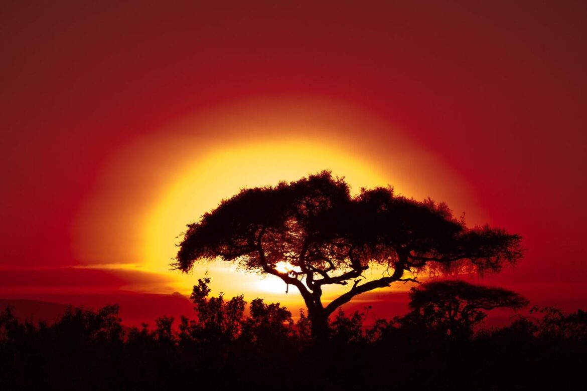 Réchauffement climatique