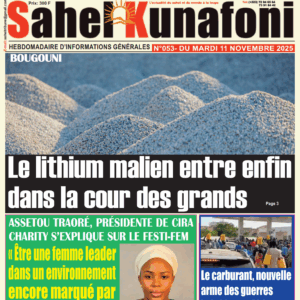N° 53: Le lithium malien entre enfin dans la cour des grands