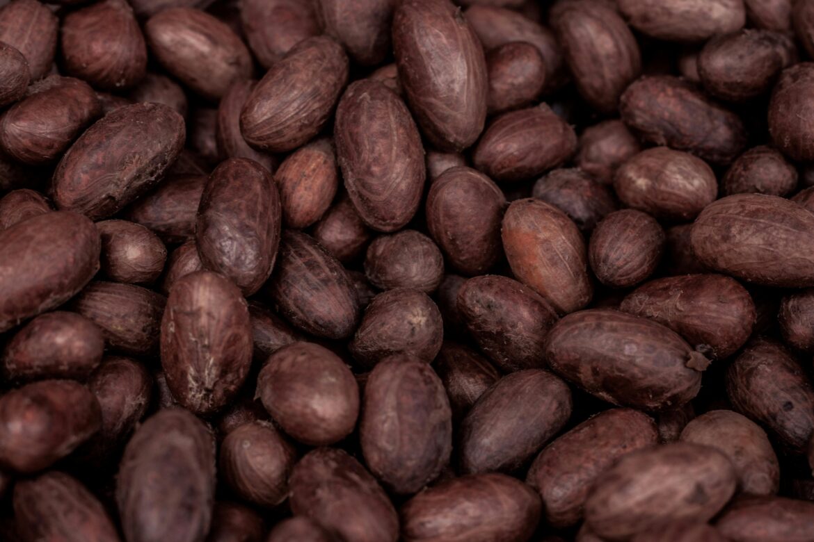 Cacao