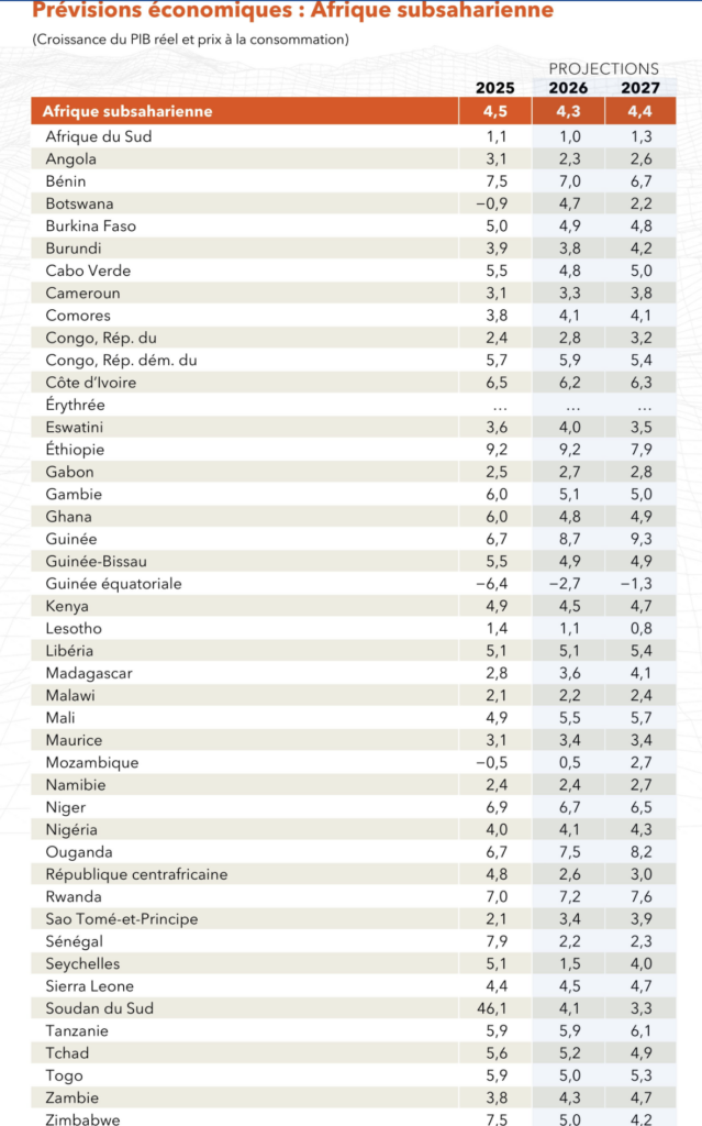Perspectives économiques en Afrique subsaharienne