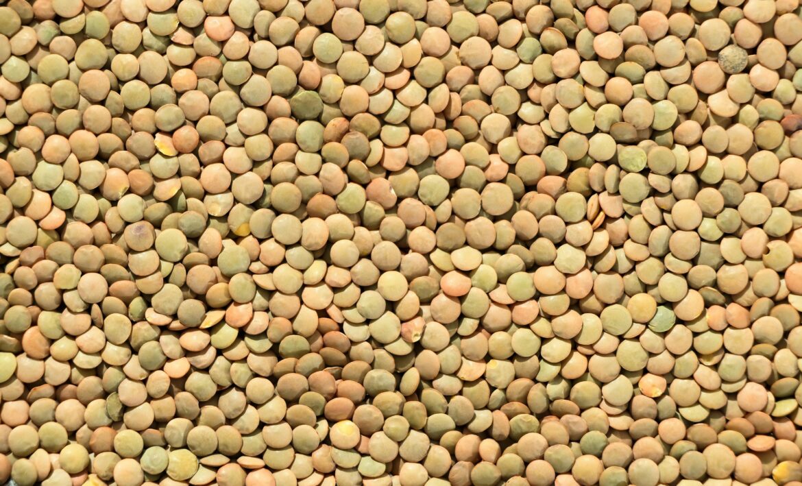 Pois cassés
