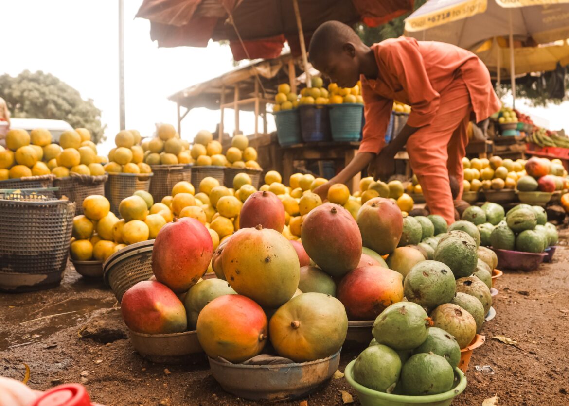 Fili!ère mangue